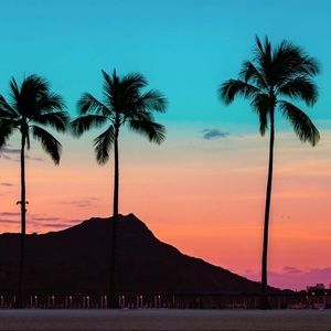 Meet your Posher, Sunshine